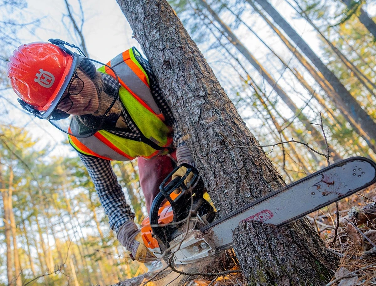 Elisa Schine at work in the Dwight B. Demeritt Forest, a University of Maine-owned forest that is adjacent to the Orono campus. 